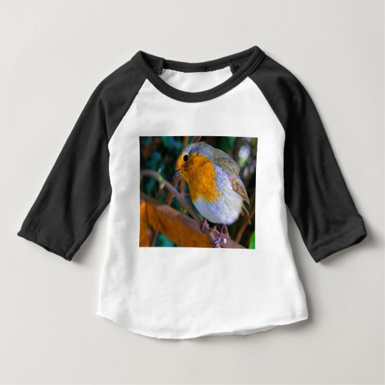 Painted Effect Robin Baby T-Shirt