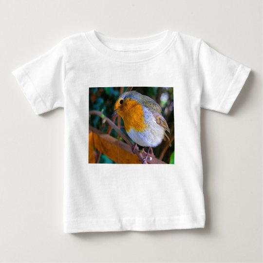 Painted Effect Robin Baby T-Shirt