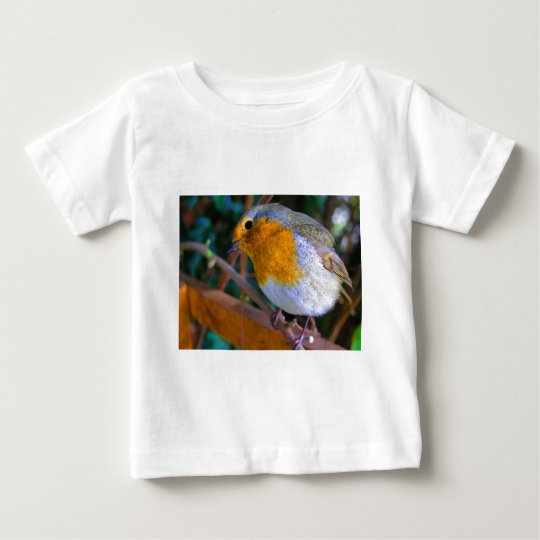 Painted Effect Robin Baby T-Shirt