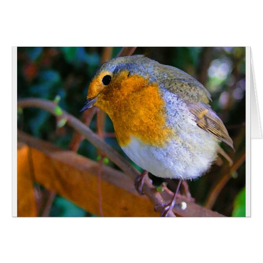 Painted Effect Robin Card