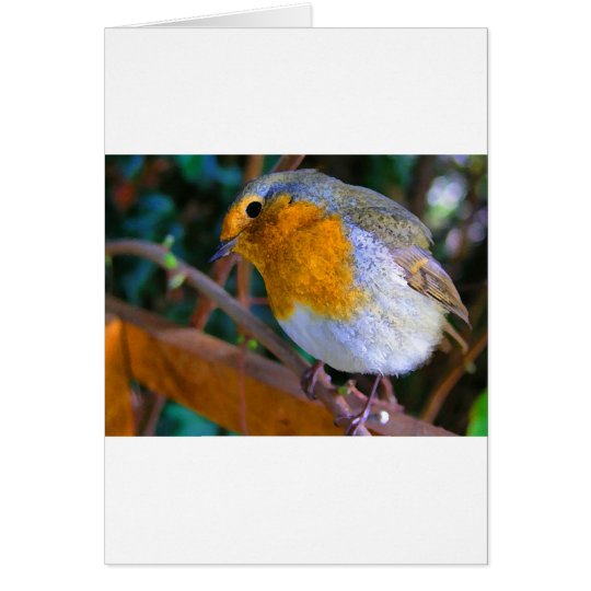 Painted Effect Robin Card