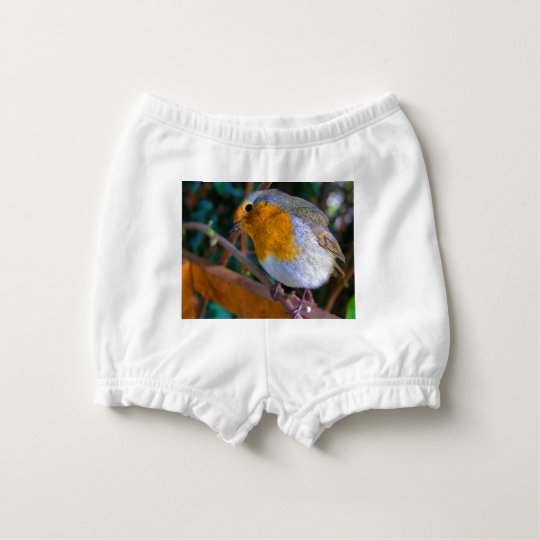 Painted Effect Robin Diaper Cover