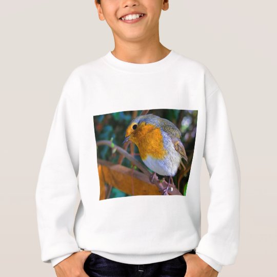 Painted Effect Robin Sweatshirt