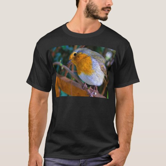 Painted Effect Robin T-Shirt