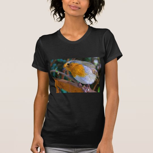 Painted Effect Robin T-Shirt