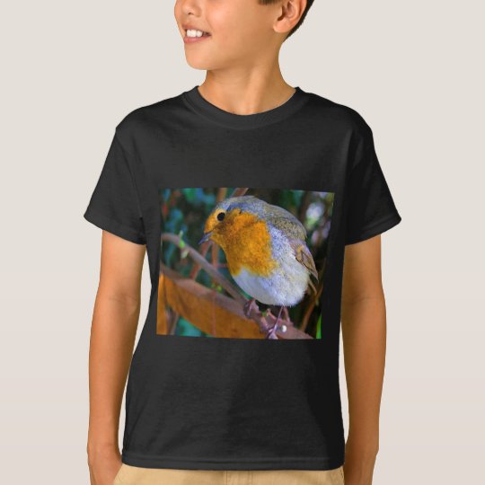 Painted Effect Robin T-Shirt