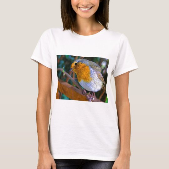 Painted Effect Robin T-Shirt