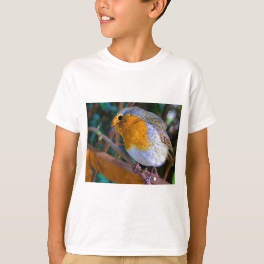 Painted Effect Robin T-Shirt