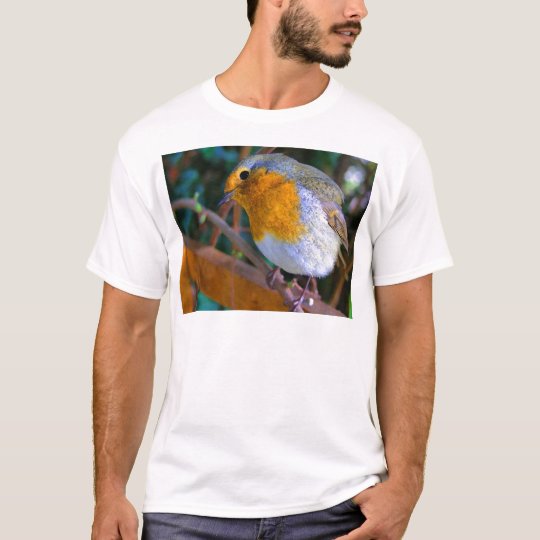 Painted Effect Robin T-Shirt