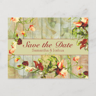 Painted Fence with Spring Flowers Postcard