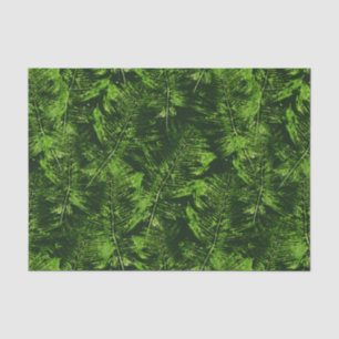 Painted Ferns Tissue Paper