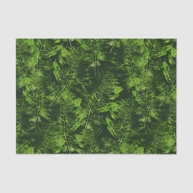 Painted Ferns Tissue Paper (Front)
