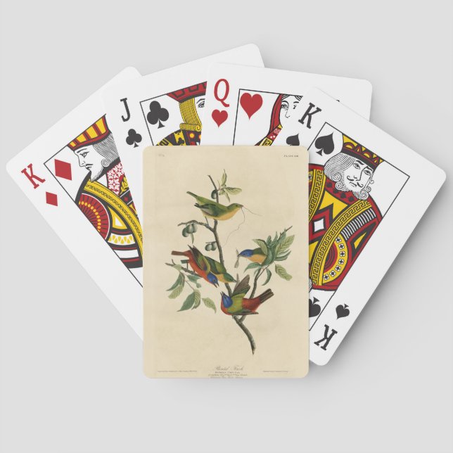 Painted Finch (Bunting) Audubon's Birds of America Playing Cards (Back)