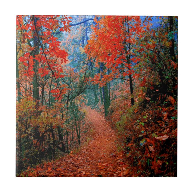 Painted Forest Autumn Flame Watercolor Tile (Front)