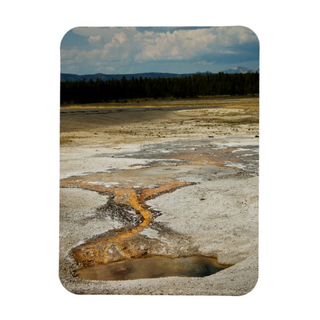 Painted Grounds Premium Magnet (Vertical)