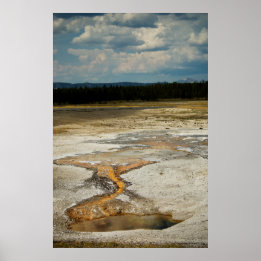 Painted Grounds Print