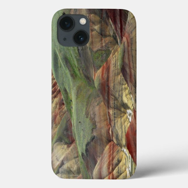 Painted Hills, John Day Fossil Beds, Mitchell Case-Mate iPhone Case (Back)