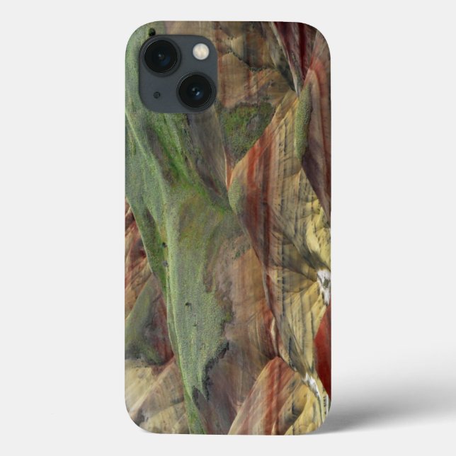 Painted Hills, John Day Fossil Beds, Mitchell Case-Mate iPhone Case (Back)