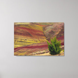Painted Hills, Mitchell, Oregon, USA Canvas Print