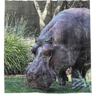 painted hippopotamus