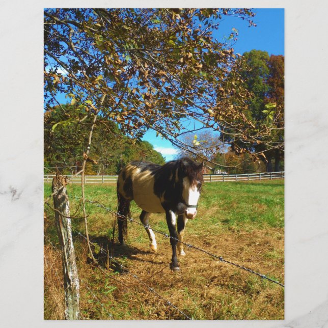 Painted Horse, (Front)