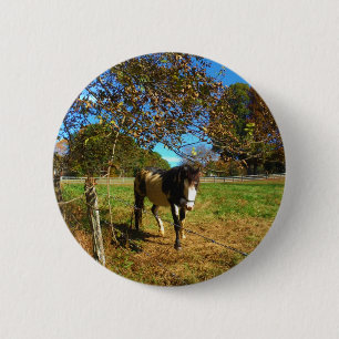 Painted Horse, 2 Inch Round Button