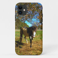 Painted Horse,