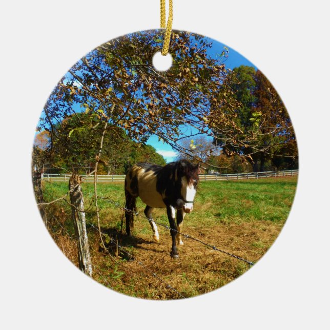 Painted Horse, Ceramic Ornament (Front)