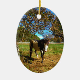 Painted Horse, Ceramic Ornament