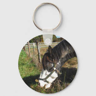 Painted Horse, Eating Queen Ann Lace flower Keychain