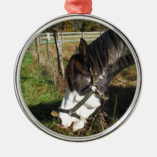 Painted Horse, Eating Queen Ann Lace flower Metal Ornament