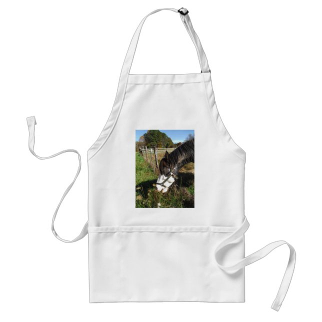 Painted Horse, Eating Queen Ann Lace flower Standard Apron (Front)