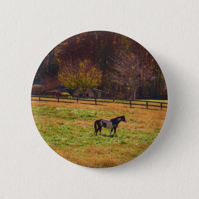 Painted Horse in the Distance 2 Inch Round Button (Front)
