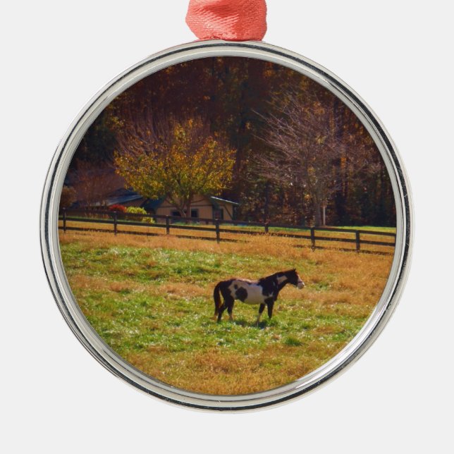 Painted Horse in the Distance Metal Ornament (Front)