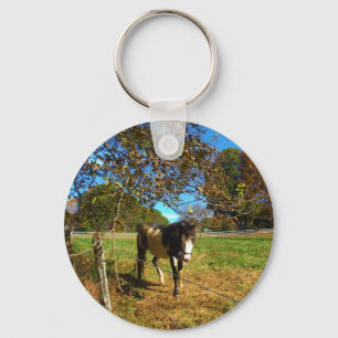 Painted Horse, Keychain