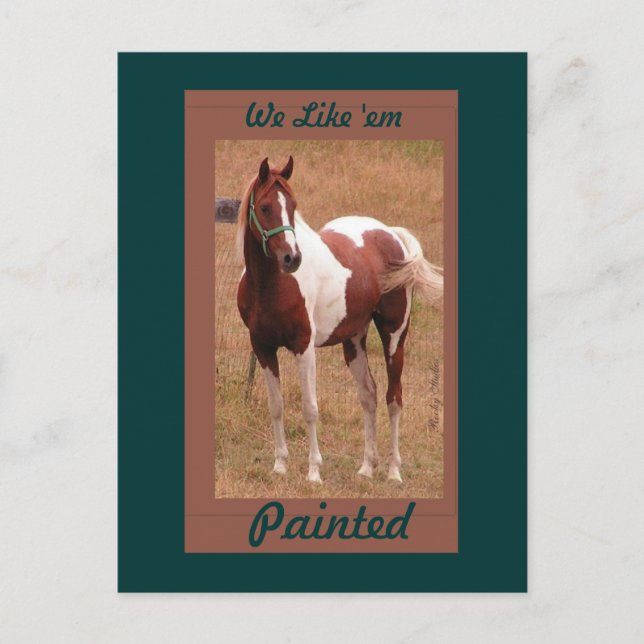 Painted Horse PostCard #1 (Front)