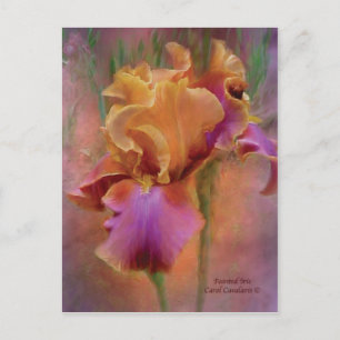 Painted Iris Art Postcard