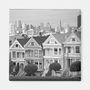 Painted Ladies: San Francisco Magnet