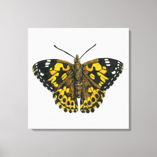 Painted lady butterfly canvas print (Front)