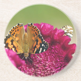 Painted Lady Butterfly Coaster