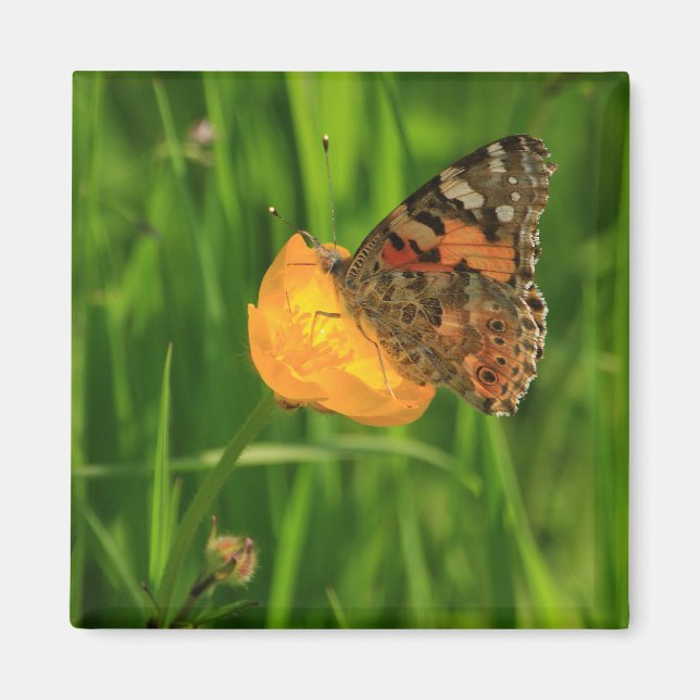 Painted Lady Butterfly Magnet (Front)