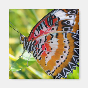 Painted Lady Butterfly Magnet