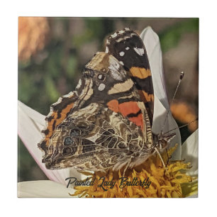 Painted Lady Butterfly Nature Photo Tile
