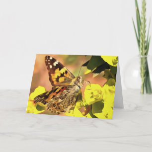 Painted Lady Butterfly on Myrtle Spurge Card