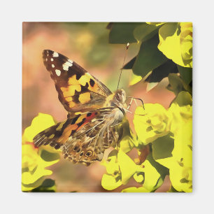 Painted Lady Butterfly on Myrtle Spurge  Magnet