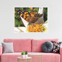 Painted Lady Butterfly On White Dahlia