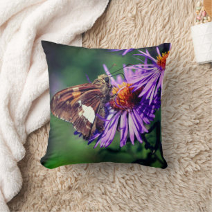 Painted Lady Butterfly On Wild Aster Flower   Throw Pillow