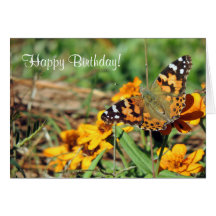 Painted Lady Butterfly on Zinnia Birthday Card