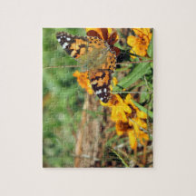 Painted Lady Butterfly on Zinnia Jigsaw Puzzle