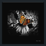 Painted Lady Butterfly SC Art Print<br><div class="desc">This beautiful work of photographic art will definitely be a conversation piece for guests or clients to your home or office. A beautiful vision of Gods' Paintbrush at work as captured by award winning floral photographer Stan V. Griep - Colorado, USA. A truly wonderful Selective Colour work of art this...</div>